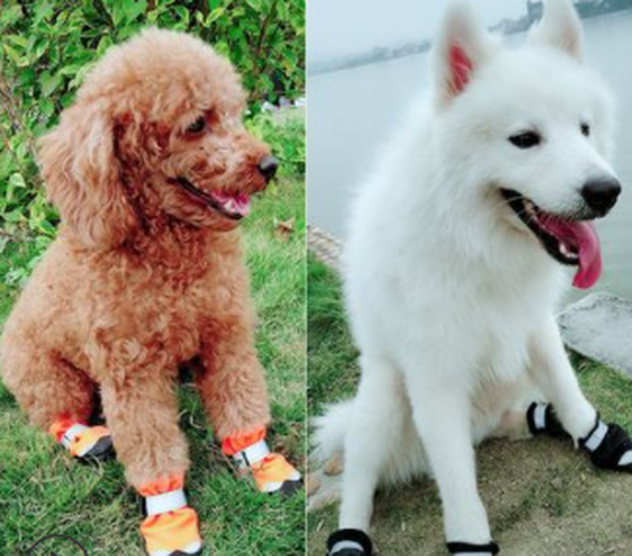Winter Dog Boots – Waterproof Reflective Warm Shoes for Cold Weather & Snow Protection