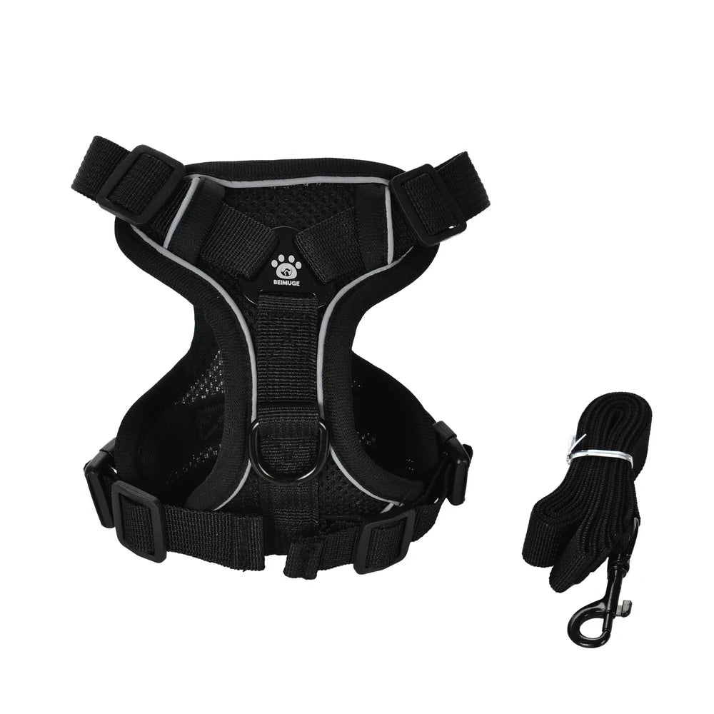 Reflective Cat Harness & Leash Set – Adjustable Outdoor Pet Walking Gear
