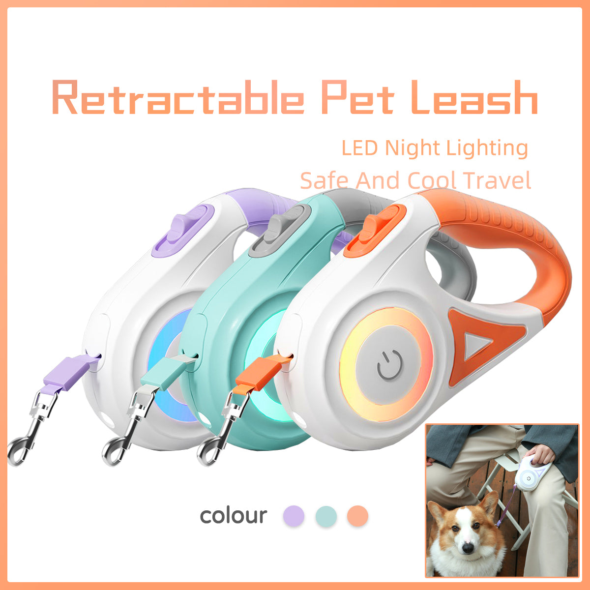 Retractable Dog Leash with Collar – Automatic One-Button Control Pet Walking Lead