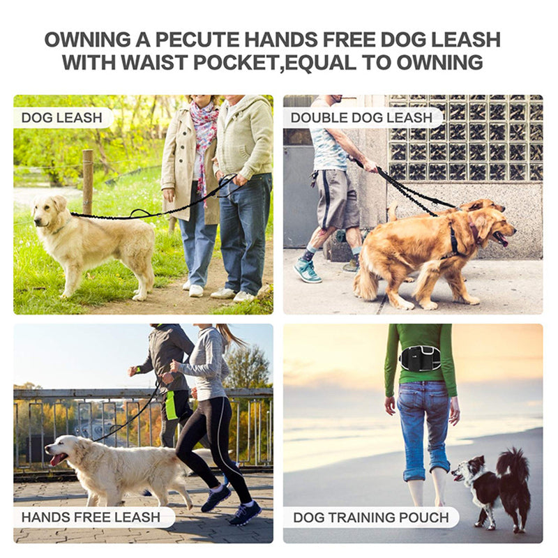 Hands-Free Dog Training Waist Bag – Treat Pouch for Walking, Running & Training