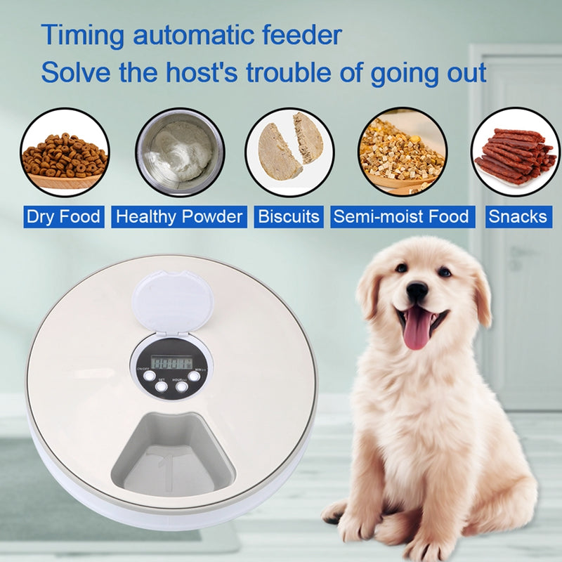 Automatic 6-Meal Pet Feeder with Voice Recorder – Timed Cat & Dog Feeding System
