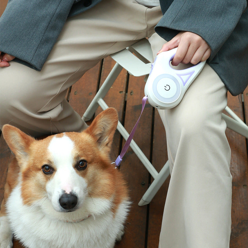 Retractable Dog Leash with Collar – Automatic One-Button Control Pet Walking Lead