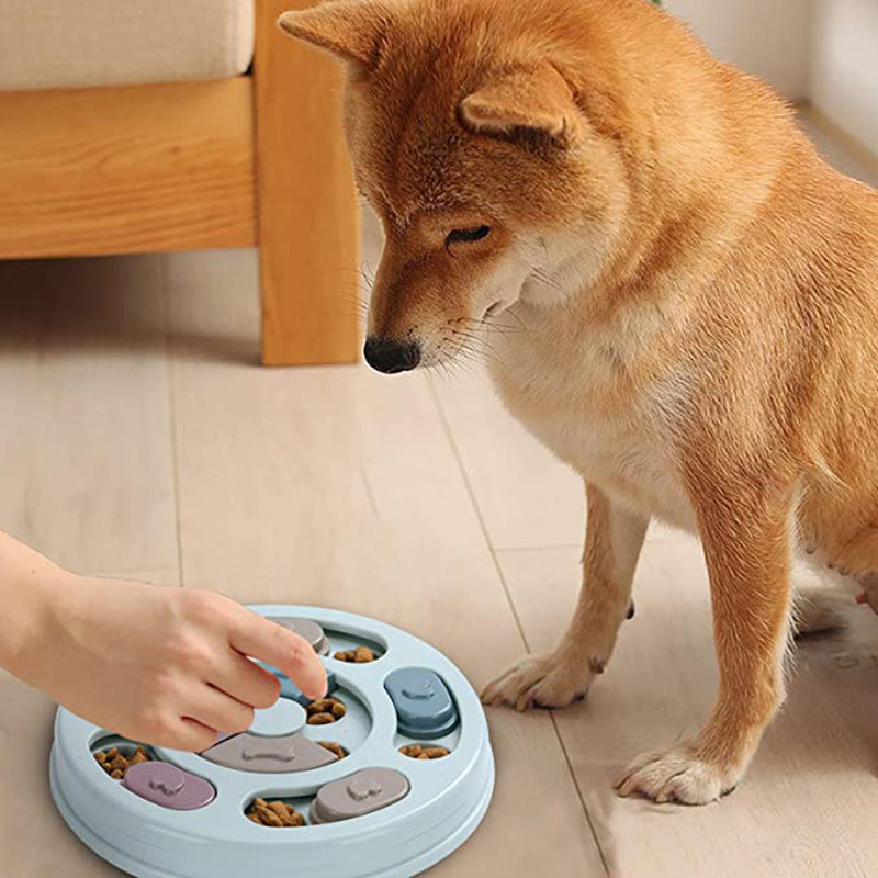 Dog Puzzle Feeding Bowl – Interactive Slow Feeder for Mental Stimulation & Healthy Eating