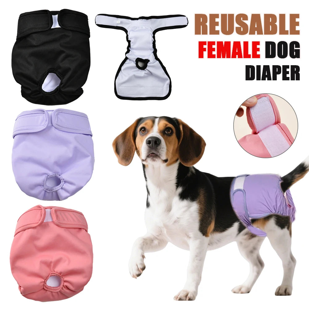 Reusable Female Dog Diapers – Washable & Adjustable Pet Period Pants