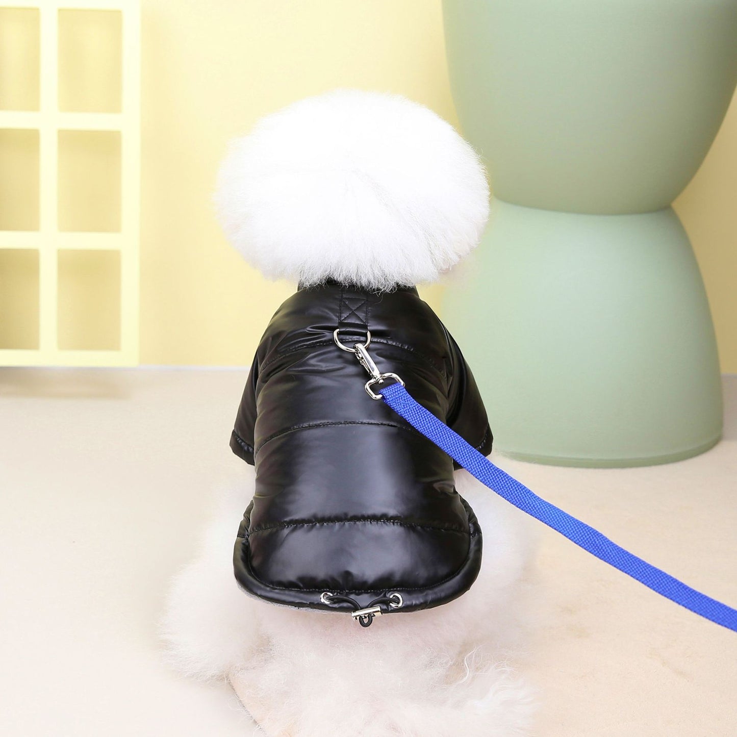 Waterproof Dog Jacket – Warm Cotton-Padded Teddy Coat for Autumn & Winter