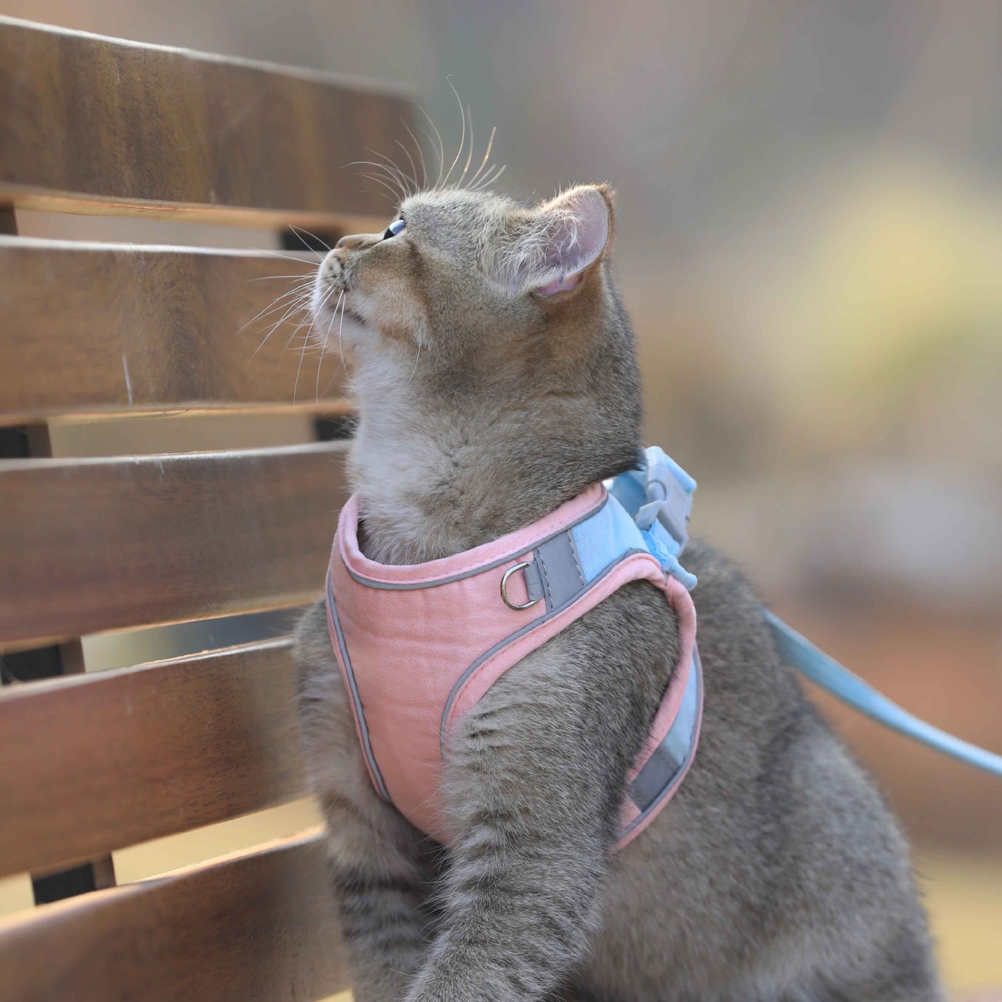 Cat Vest Harness & Leash – Cute Suede Walking Set for Safe Outdoor Adventures