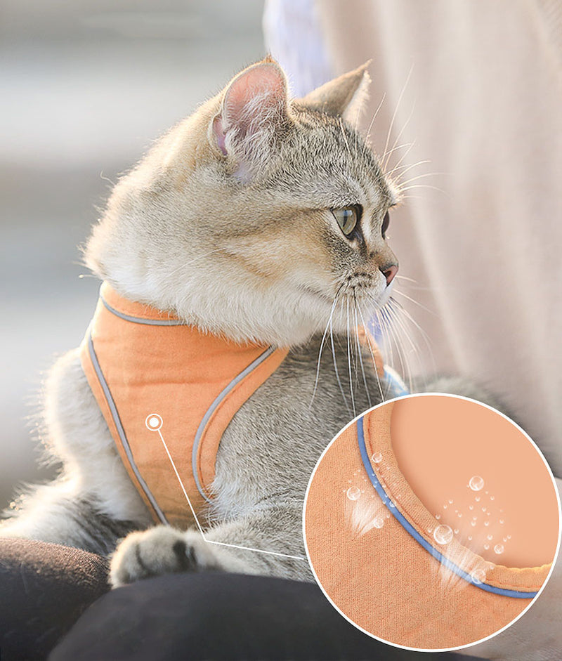 Cat Vest Harness & Leash – Cute Suede Walking Set for Safe Outdoor Adventures