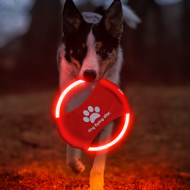 LED Light-Up Dog Flying Disc – Rechargeable Interactive Fetch Toy
