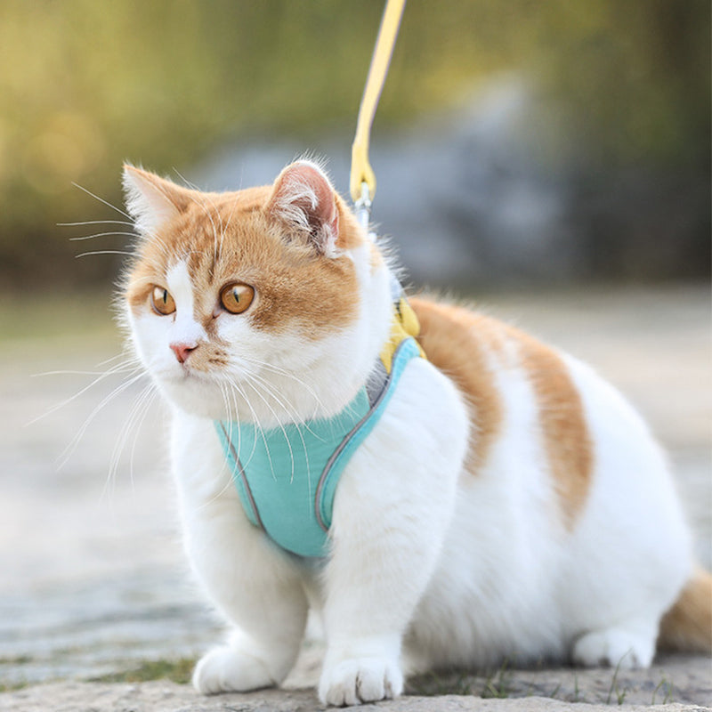 Cat Vest Harness & Leash – Cute Suede Walking Set for Safe Outdoor Adventures