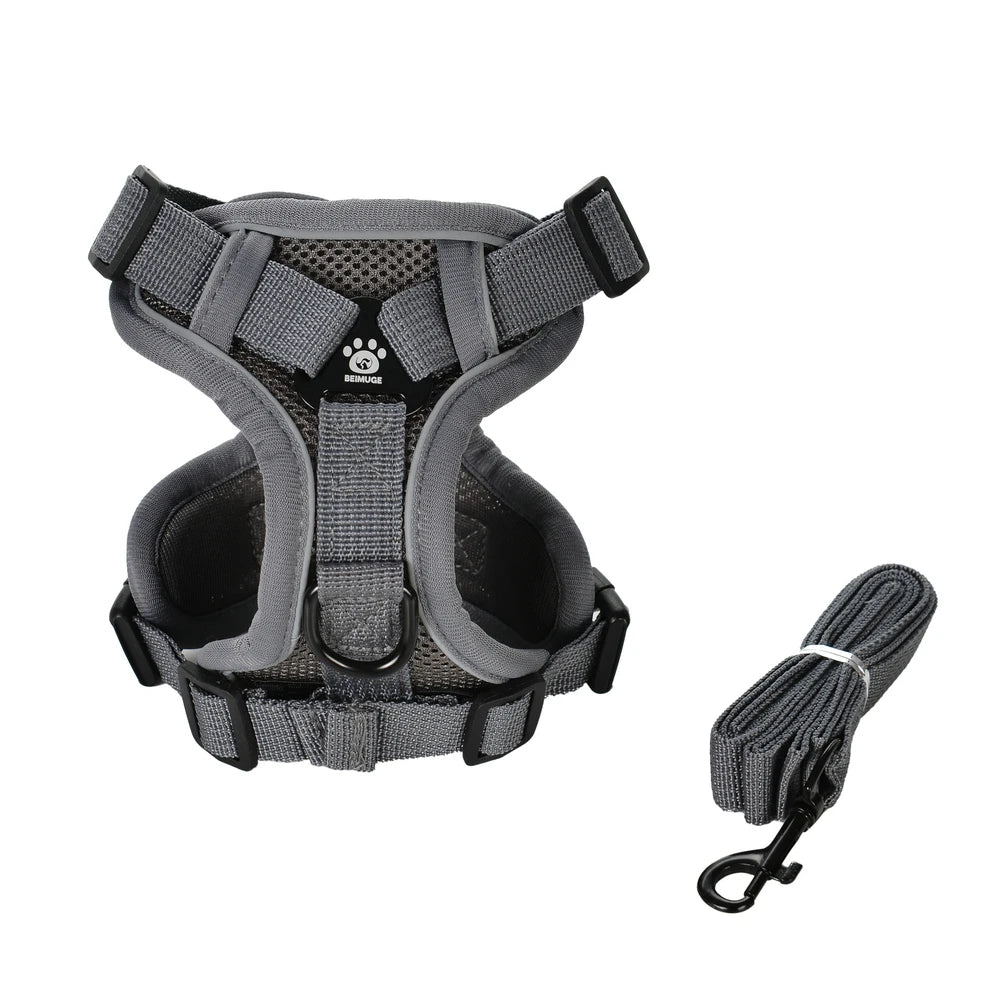 Reflective Cat Harness & Leash Set – Adjustable Outdoor Pet Walking Gear