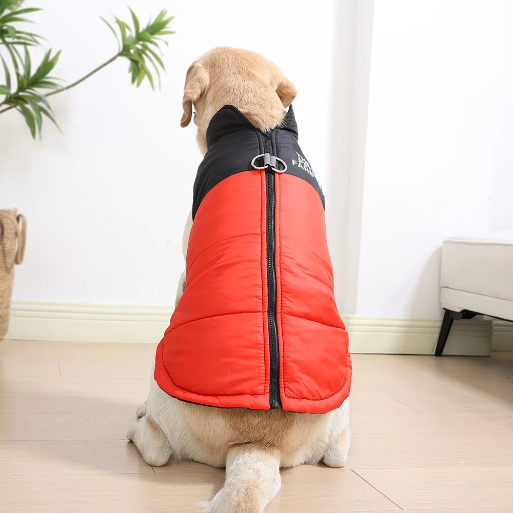 Warm Winter Dog Jacket – Windproof Coat for Small & Large Dogs