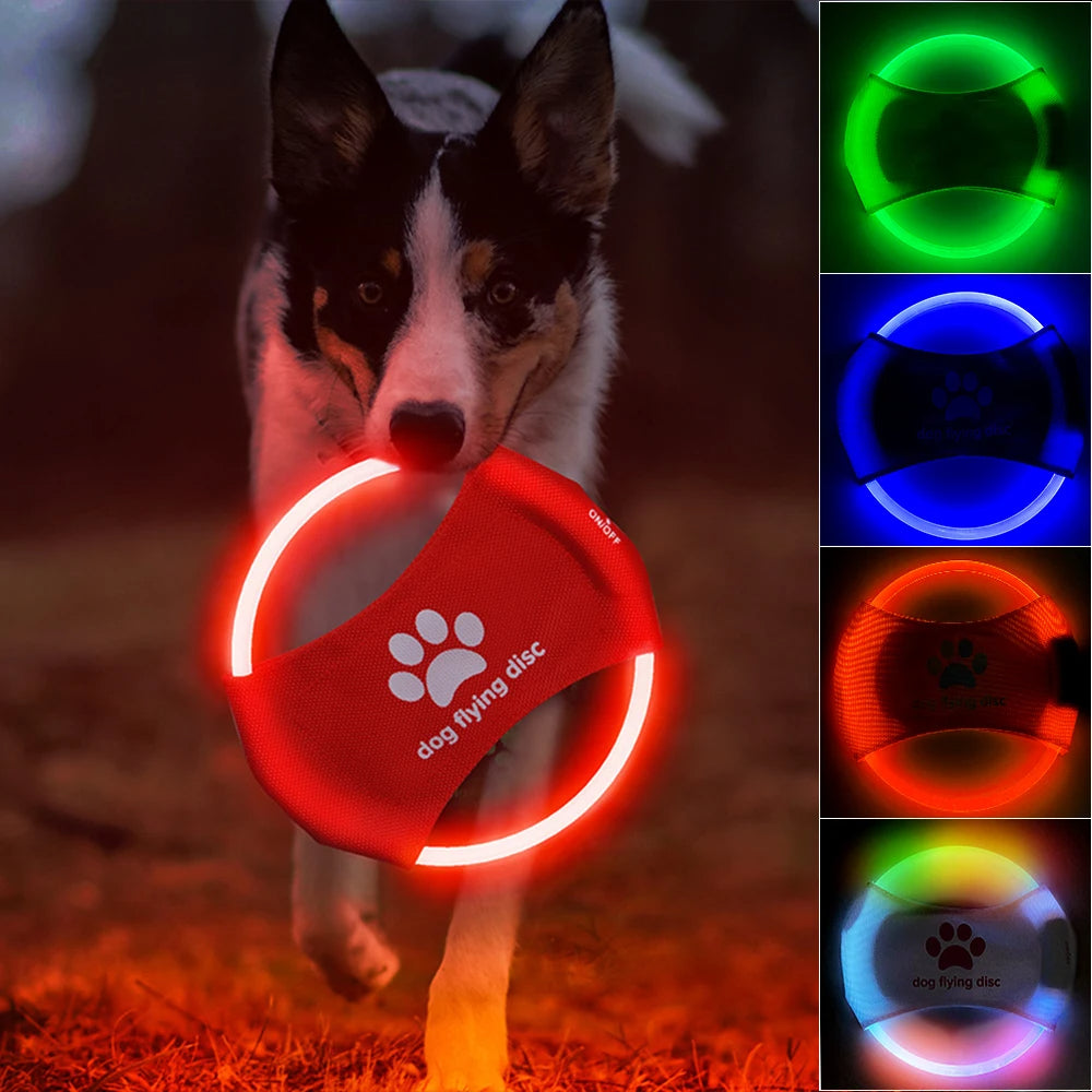 LED Light-Up Dog Flying Disc – Rechargeable Interactive Fetch Toy