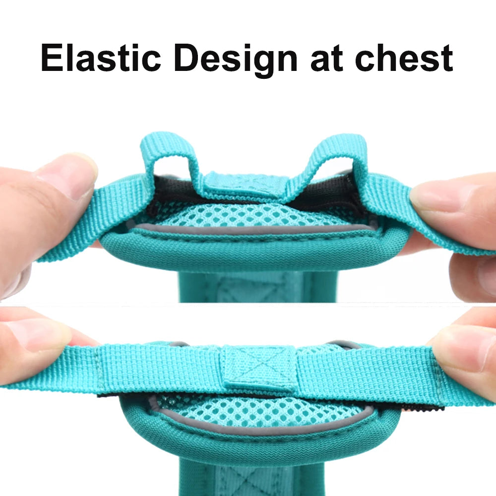 Reflective Cat Harness & Leash Set – Adjustable Outdoor Pet Walking Gear