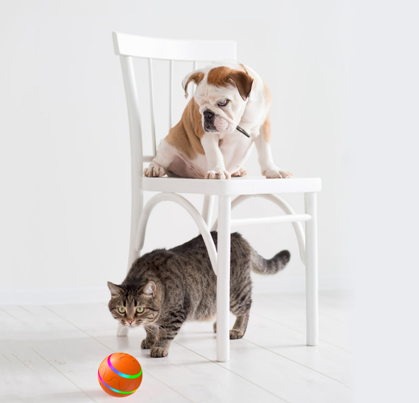 Smart Automatic Cat Wicked Ball Toy – USB Rechargeable Self-Rolling Interactive Pet Toy