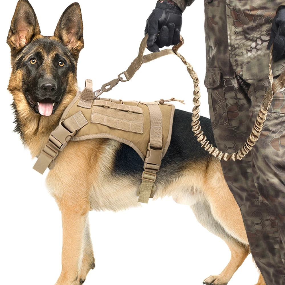 Elastic Shock-Absorbing Dog Leash – Outdoor Training Traction Rope for Large Dogs