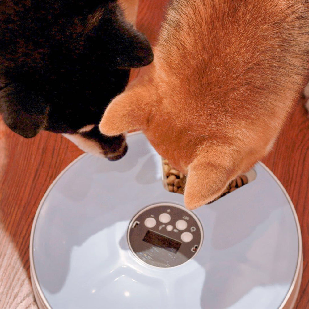 Automatic 6-Meal Pet Feeder with Voice Recorder – Timed Cat & Dog Feeding System