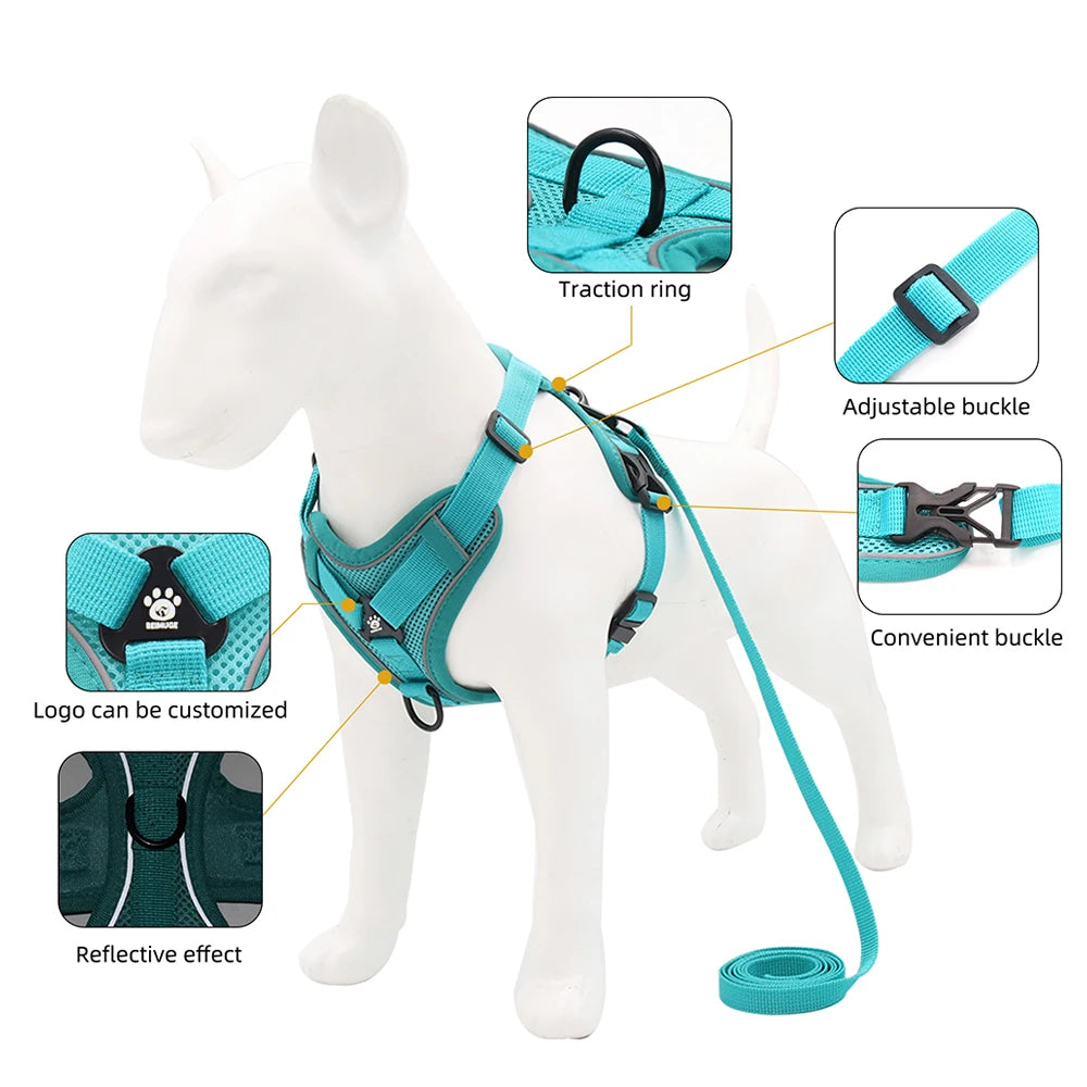 Reflective Cat Harness & Leash Set – Adjustable Outdoor Pet Walking Gear