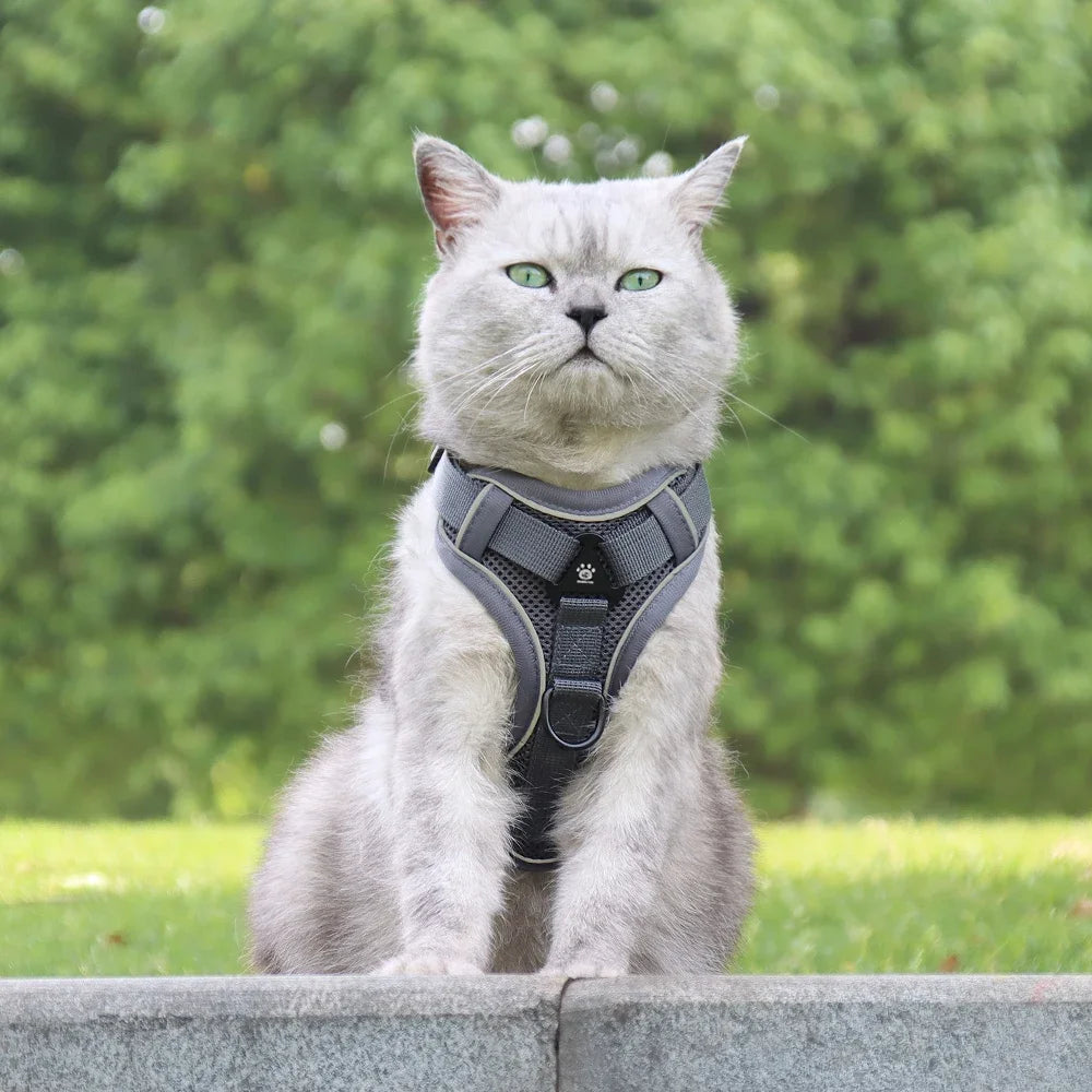 Reflective Cat Harness & Leash Set – Adjustable Outdoor Pet Walking Gear