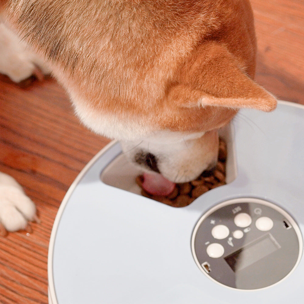 Automatic 6-Meal Pet Feeder with Voice Recorder – Timed Cat & Dog Feeding System
