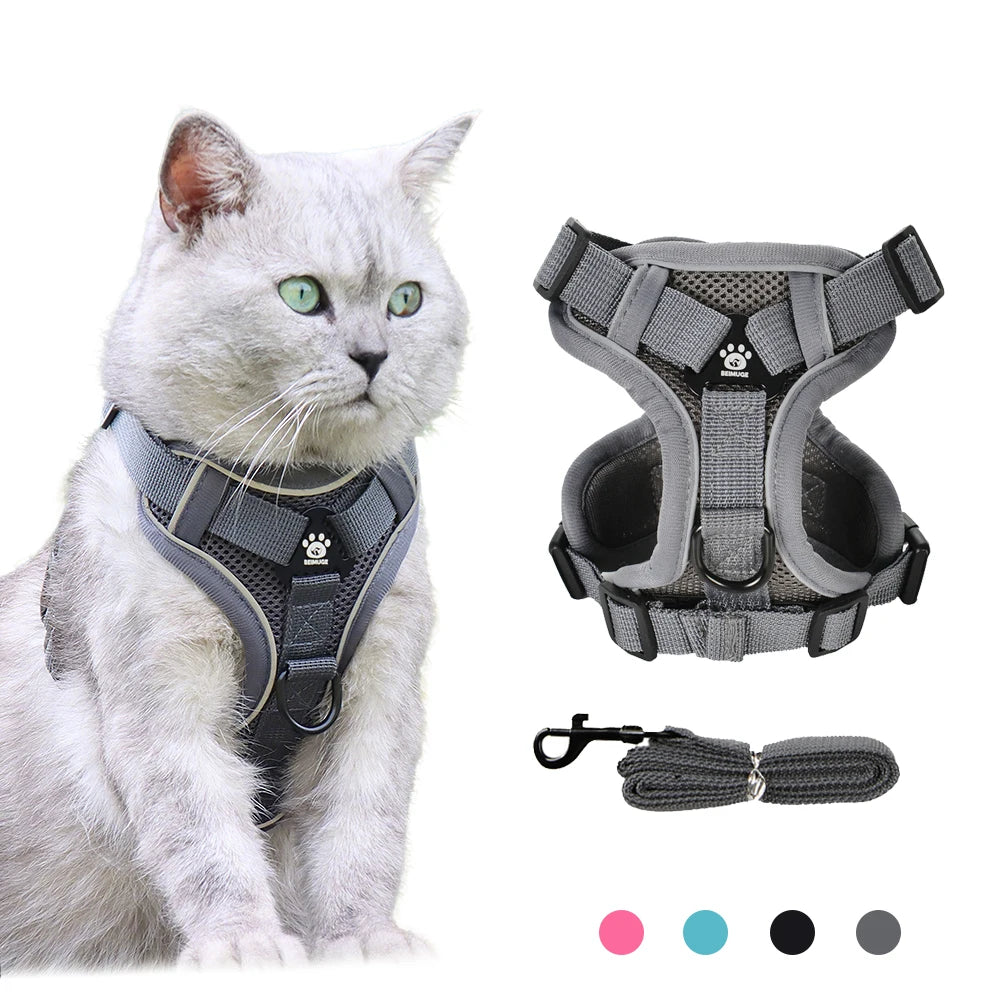 Reflective Cat Harness & Leash Set – Adjustable Outdoor Pet Walking Gear
