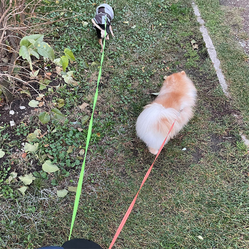 Dual Retractable Dog Leash with Light – 360° Anti-Tangle Walking Lead for 2 Dogs