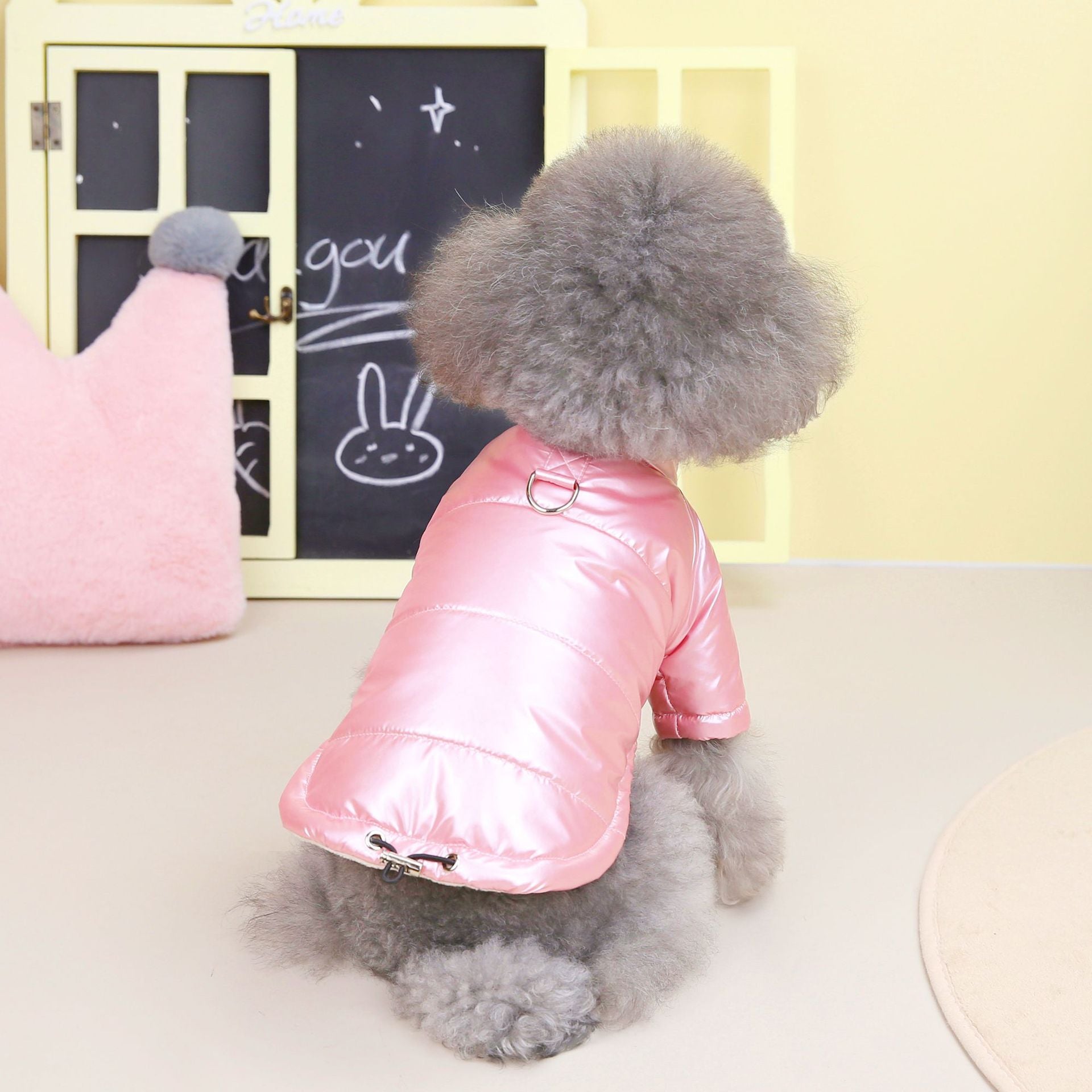 Waterproof Dog Jacket – Warm Cotton-Padded Teddy Coat for Autumn & Winter