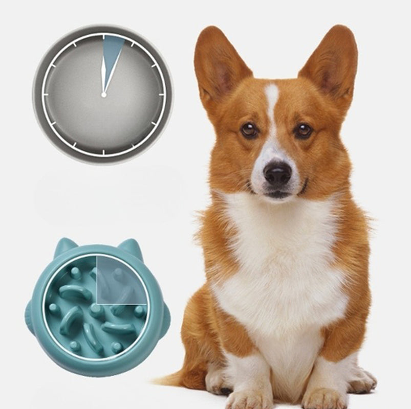 Anti-Choking Slow Feeder Dog & Cat Bowl – Healthy Eating Plate for Pets