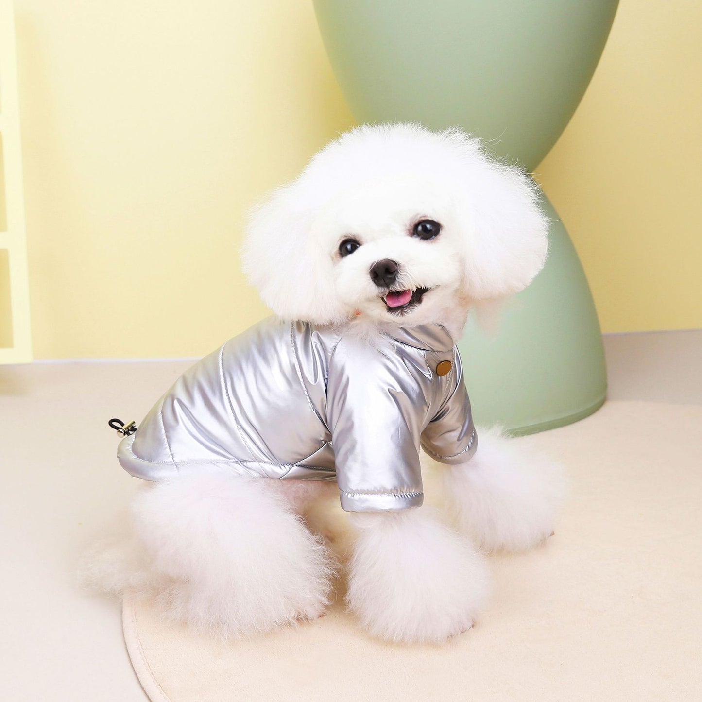 Waterproof Dog Jacket – Warm Cotton-Padded Teddy Coat for Autumn & Winter